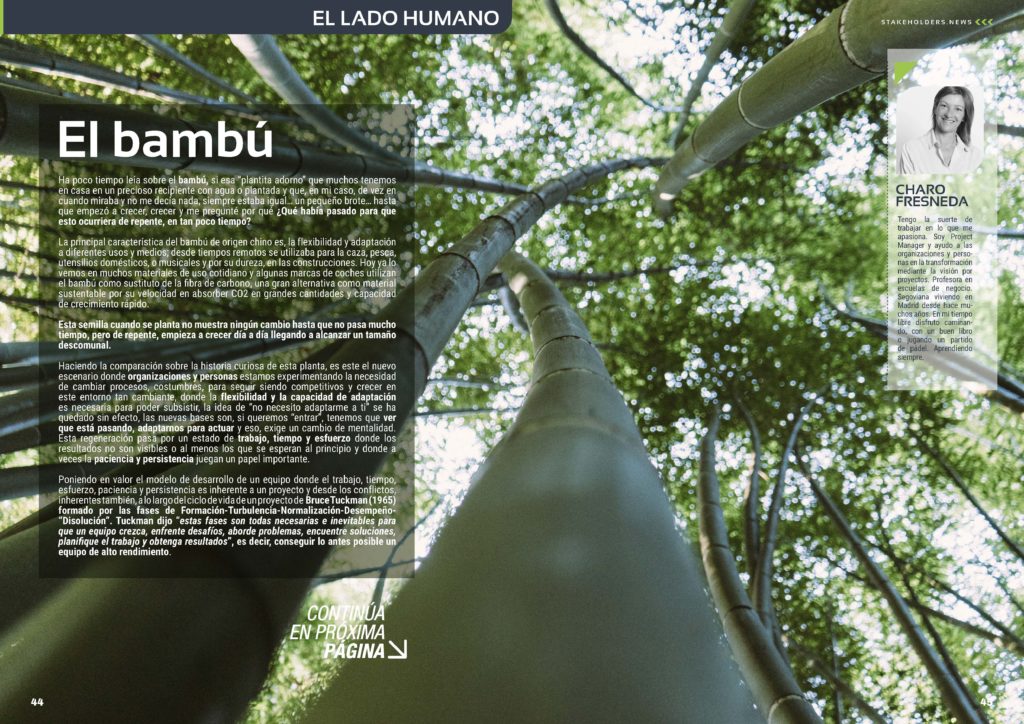 Artículo "El Bambú" de Charo Fresneda en la Sección "El Lado Humano" de la Revista Stakeholders.news